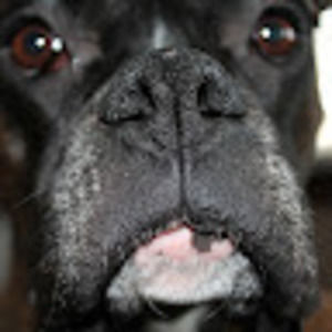 Meet your Posher, Marc